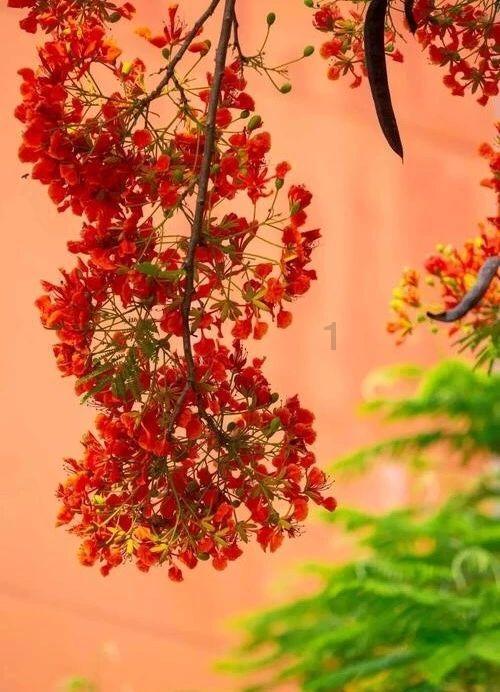 年轻人失业是眼高手低吗？什么造成导致年轻人大量失业？游戏画面
